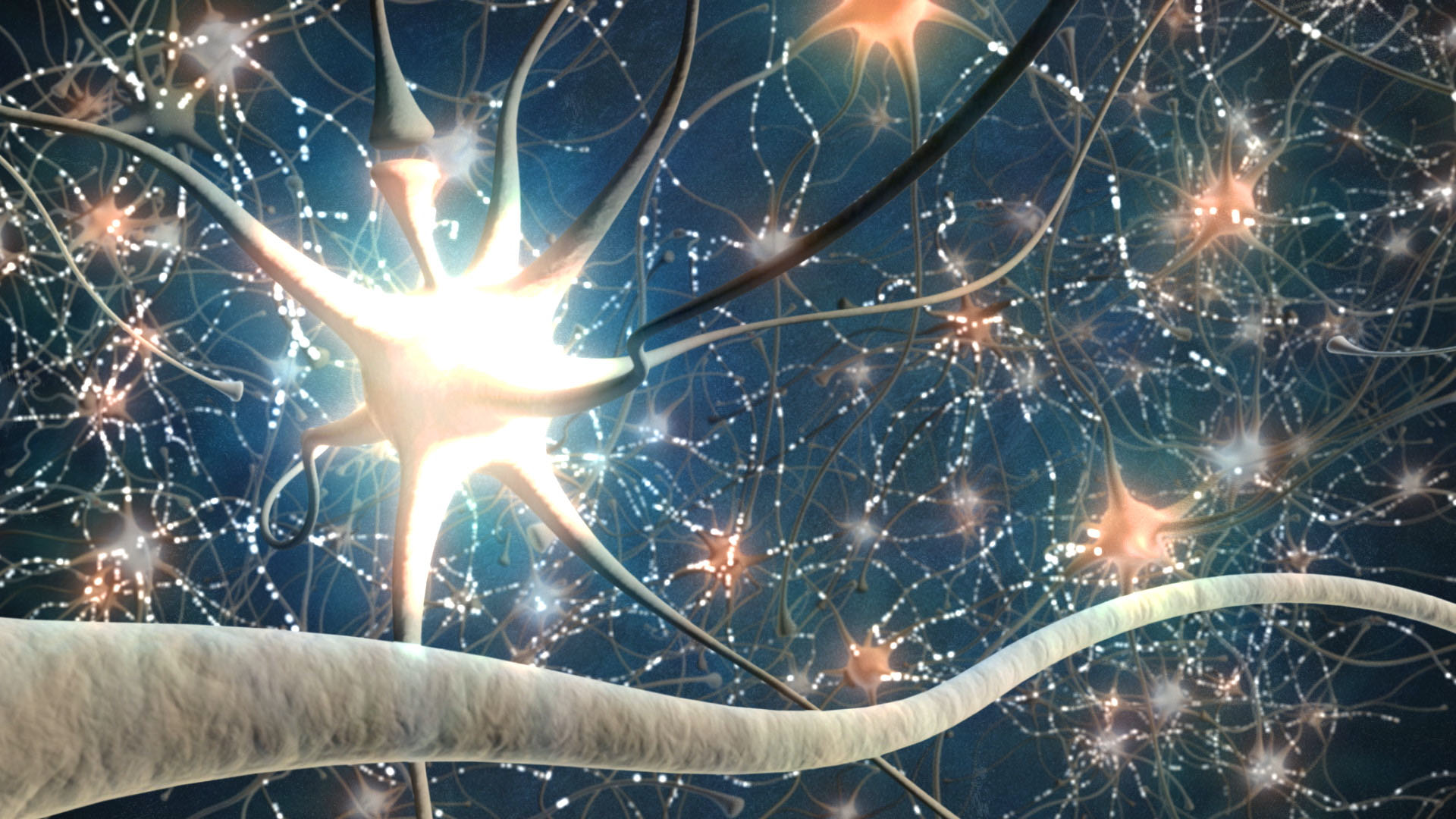 Bild von Nervenzellen im Gehirn.